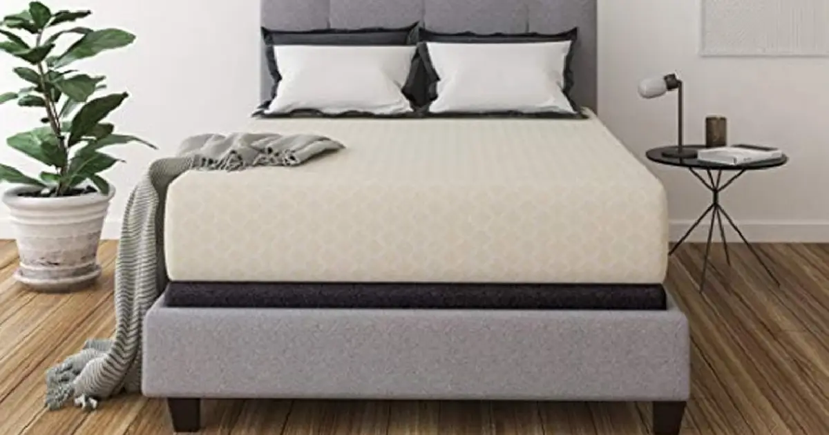 قیمت تشک ارزان