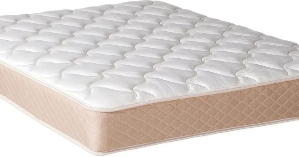 قیمت تشک طبی سفت دو نفره